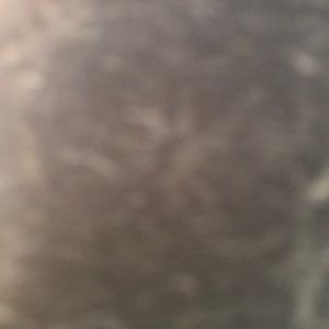 Meet your Posher, Heidi